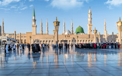 Madinah Tour