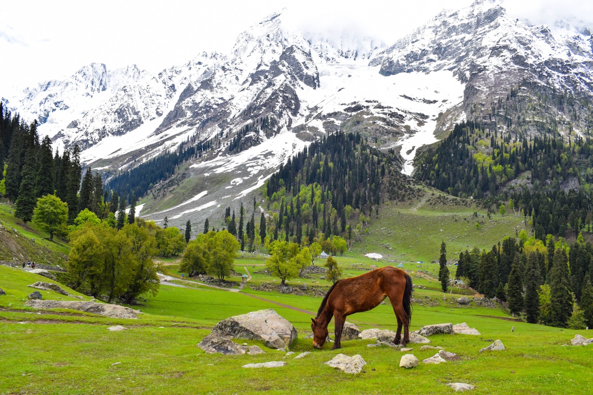Travel landscape and lake in Kashmir